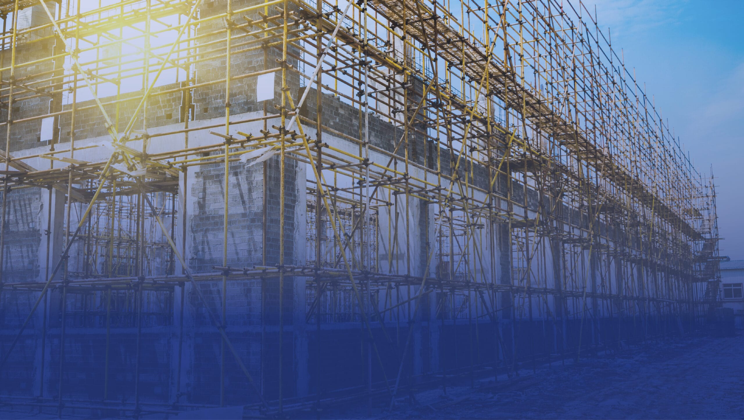 banner.2jpg Mesa de trabajo 1